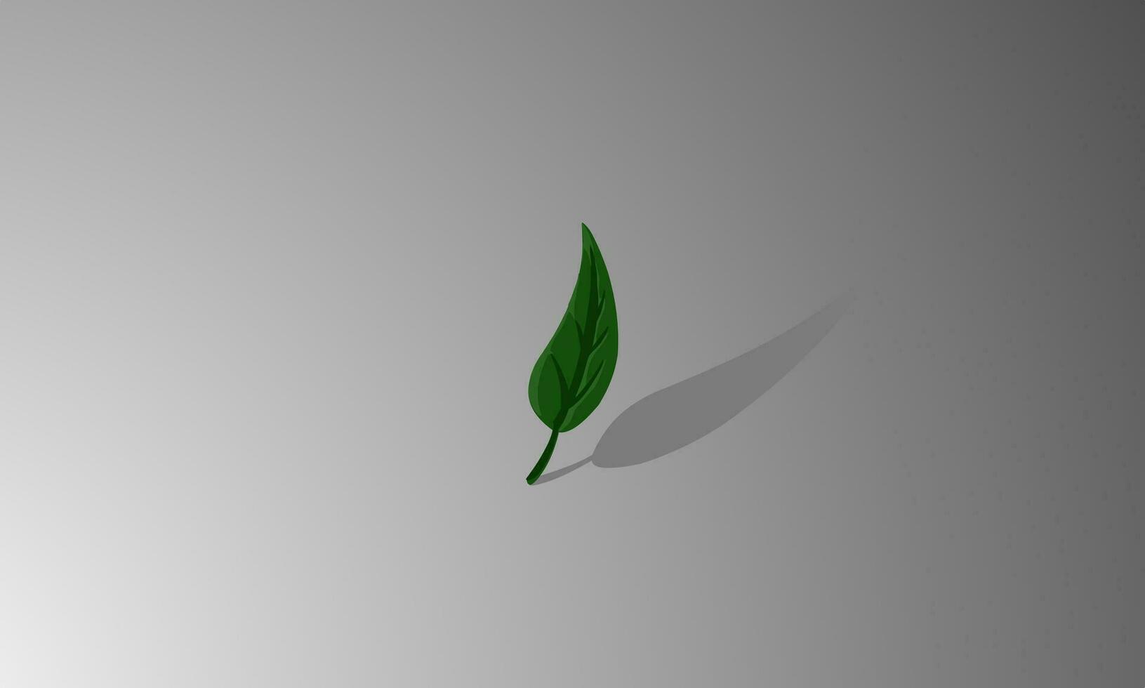 Simple vector of leaves with shadows on a white isolated background