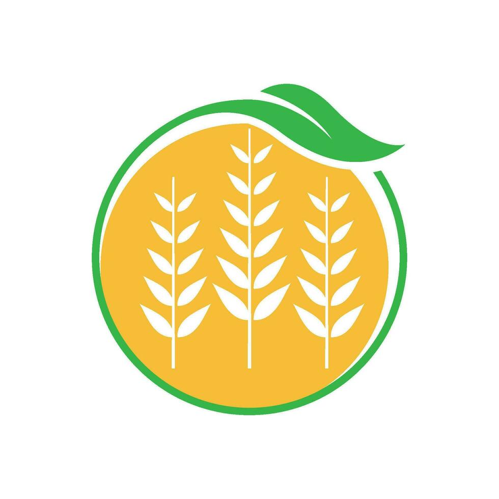 Wheat logo template vector