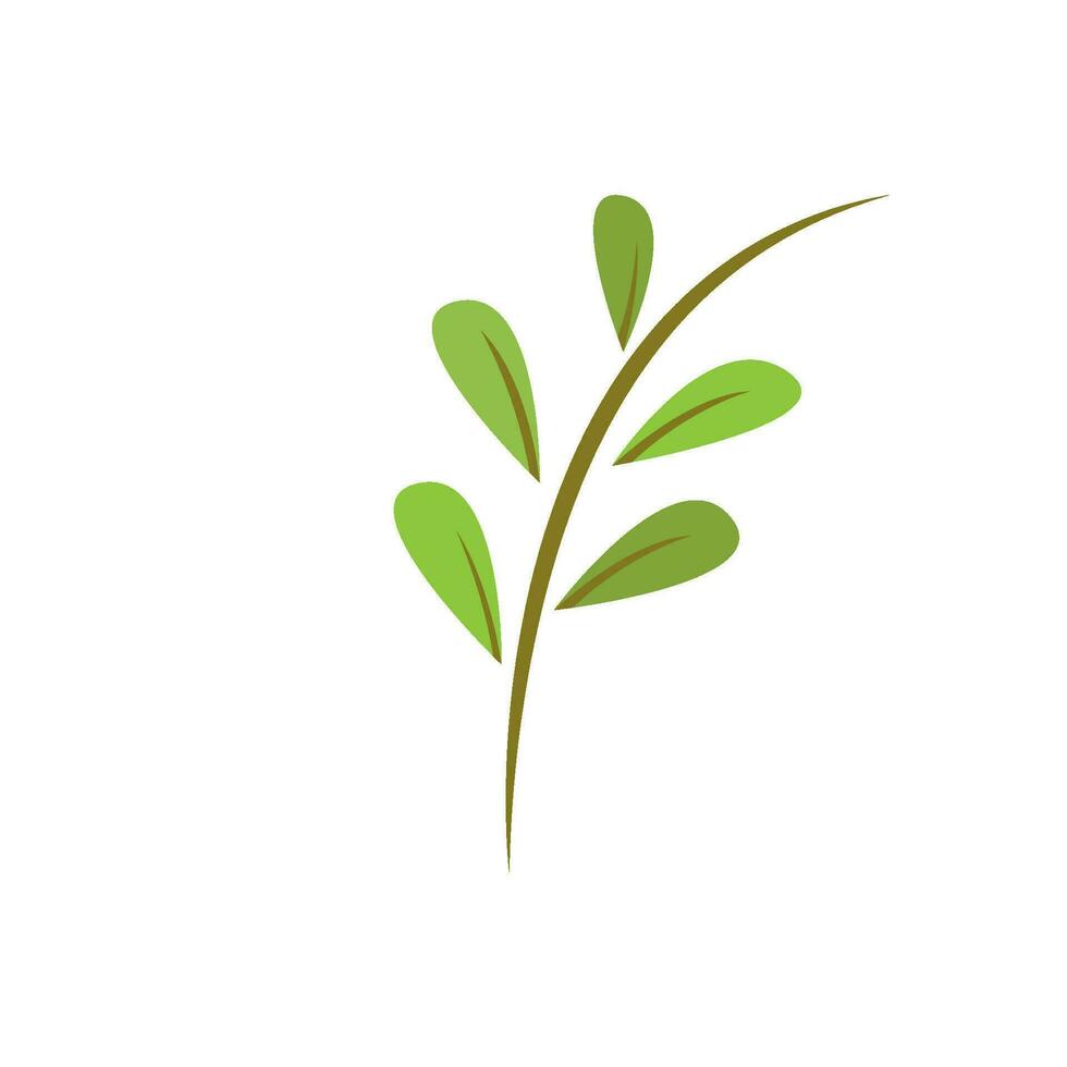 Green leaf illustration vector