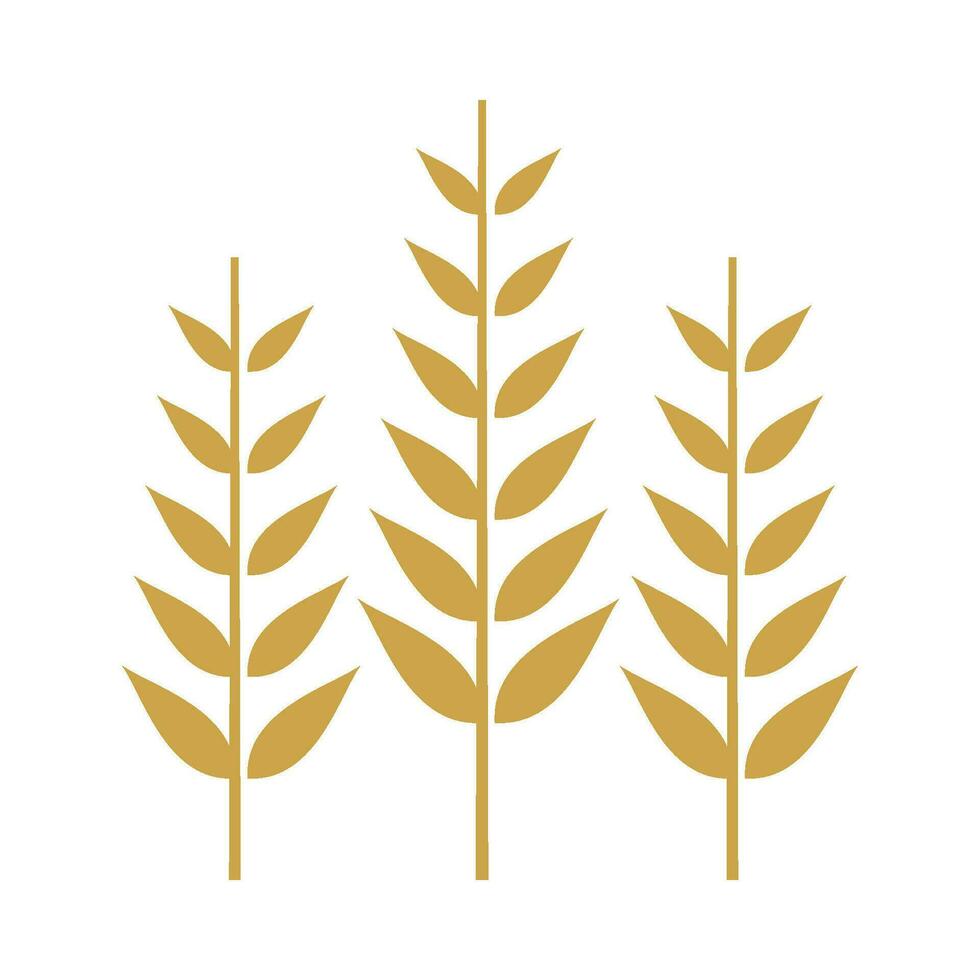 Wheat logo template vector