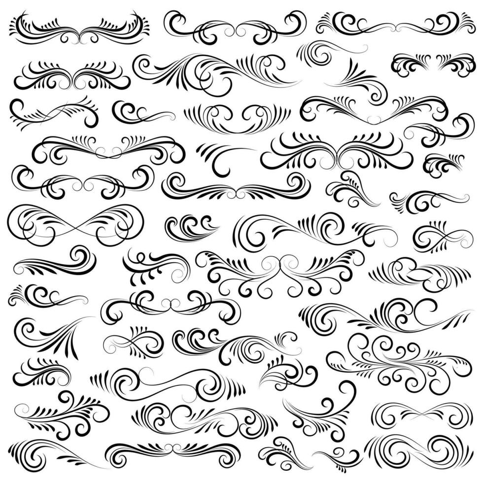 Vector graphic elements for design vector elements. Swirl elements decorative illustration. Classic calligraphy swirls, greeting cards, wedding invitations, royal certificates and graphic design.