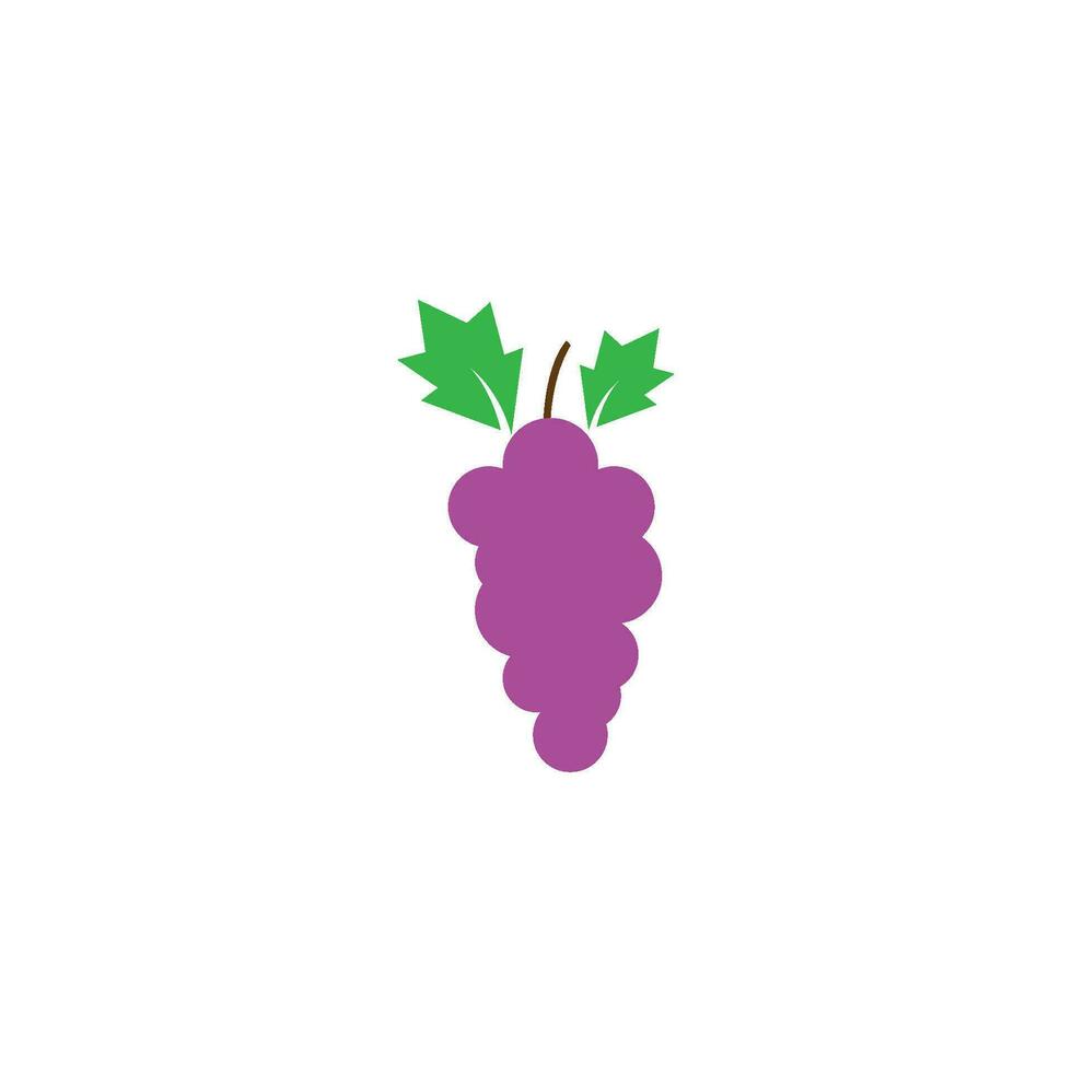 grapes logo icon vector
