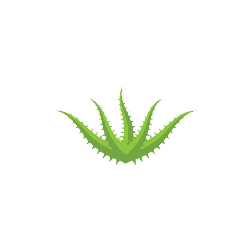 logotipo de aloe vera vector