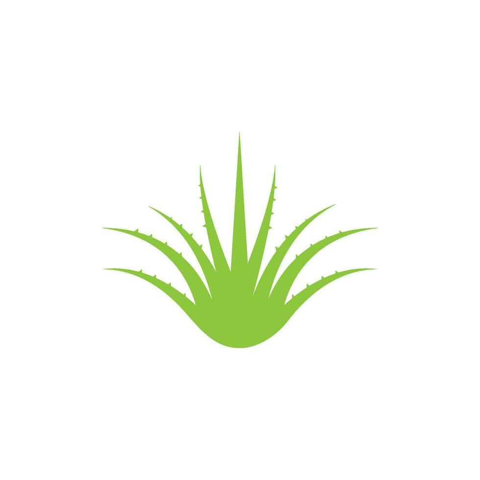 Aloe vera logo vector