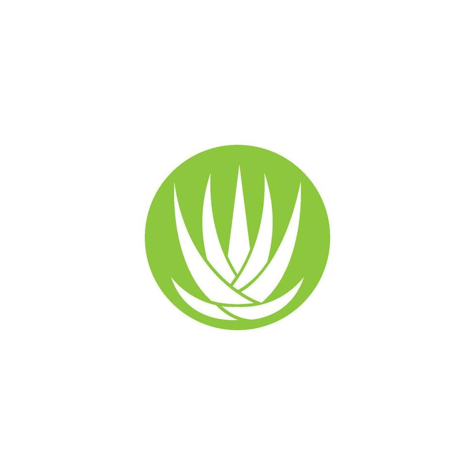 logotipo de aloe vera vector