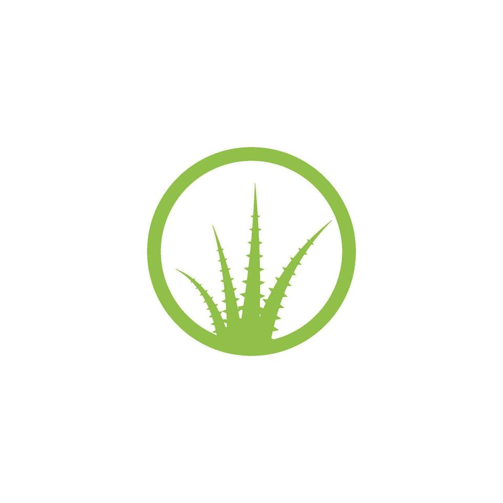 Aloe vera logo vector