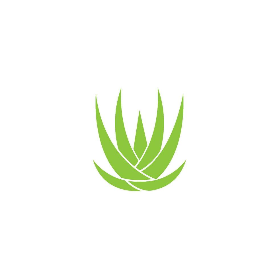 logotipo de aloe vera vector