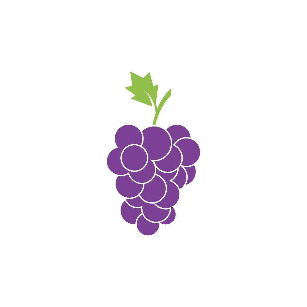 uvas logo icono vector