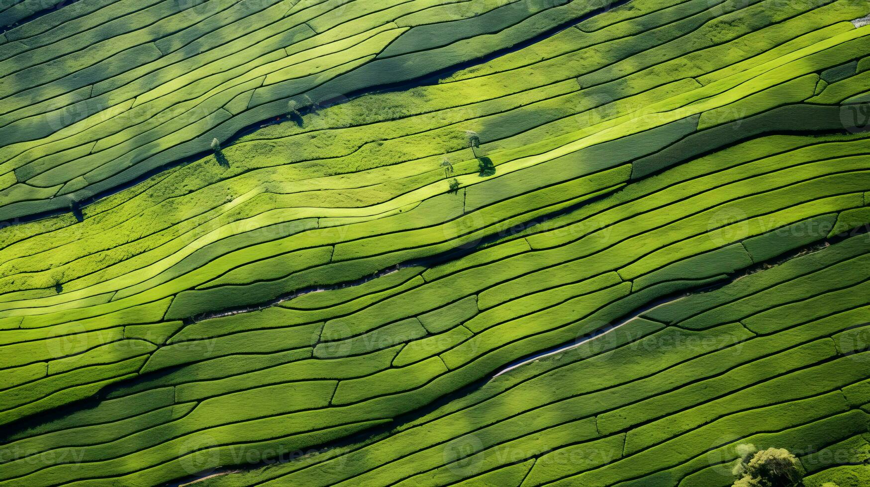 AI generated Tea plantation landscape, top view texture photo