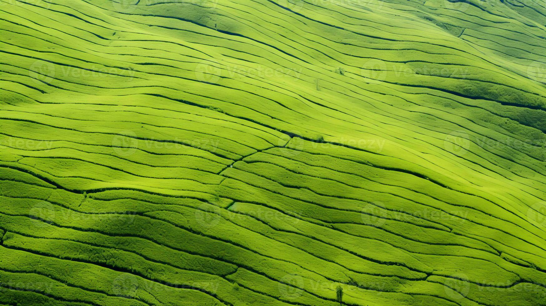 AI generated Tea plantation landscape, top view texture photo