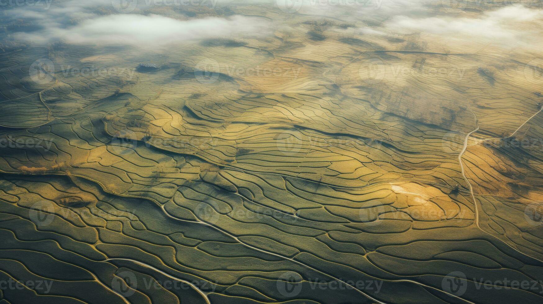 AI generated Tea plantation landscape, top view texture photo