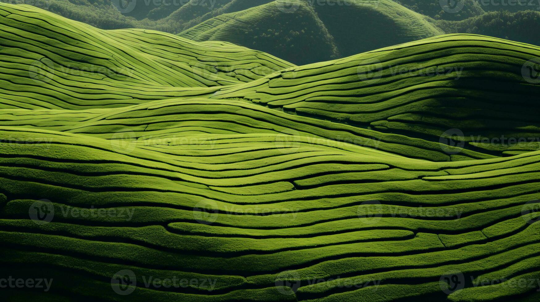 AI generated Green tea plantation, top view texture photo