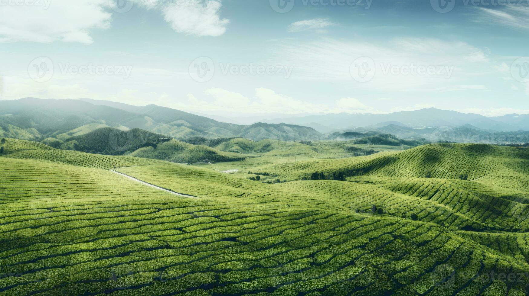 AI generated Green tea plantation, top view texture photo