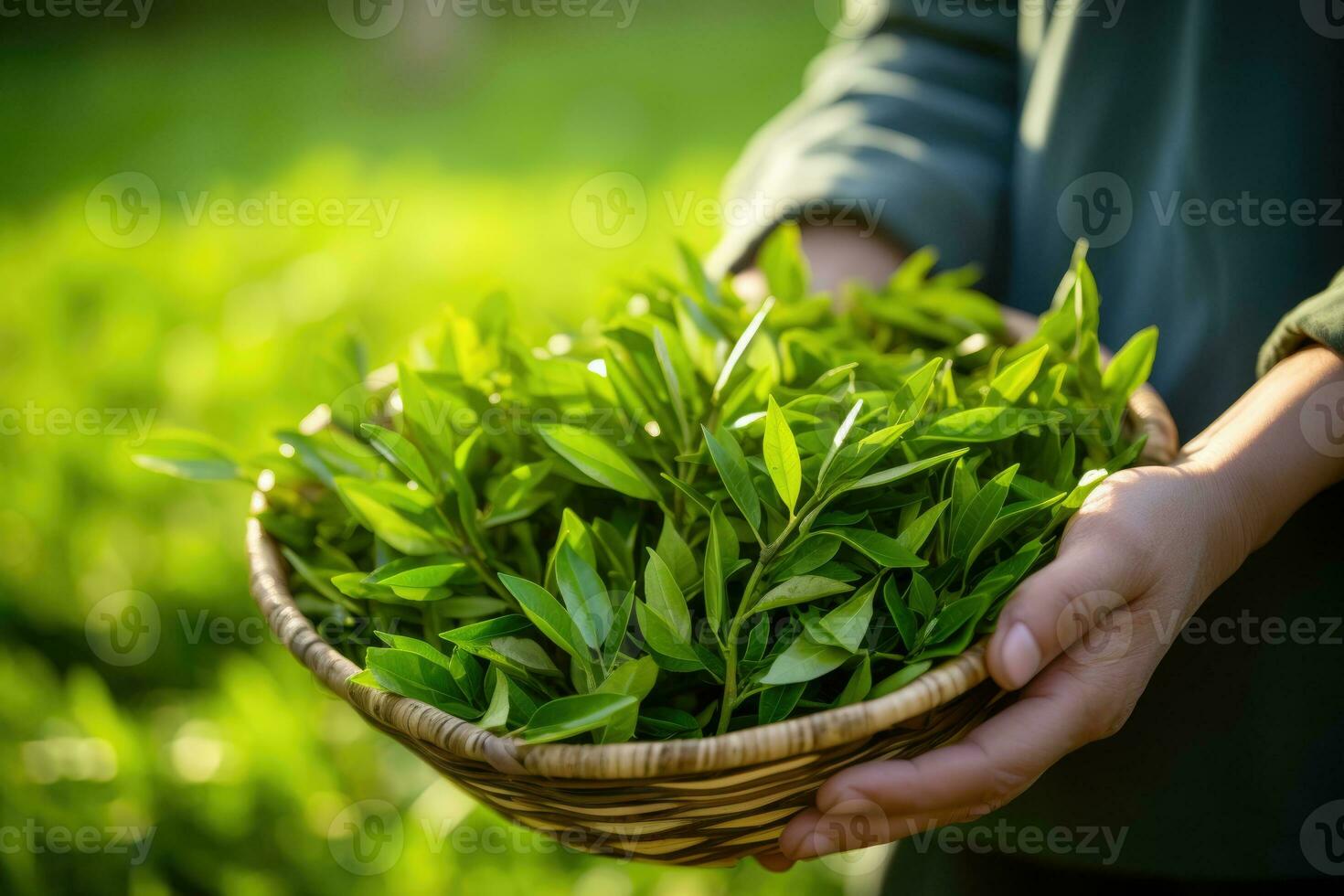 AI generated Portrait of a tea plantation worker. AI Generated photo