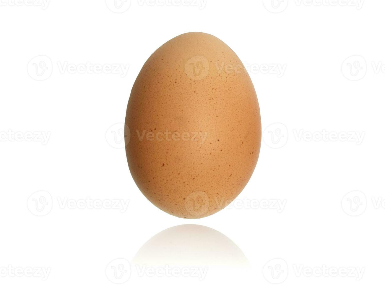 Single chicken brown egg isolated from white background. High quality photo