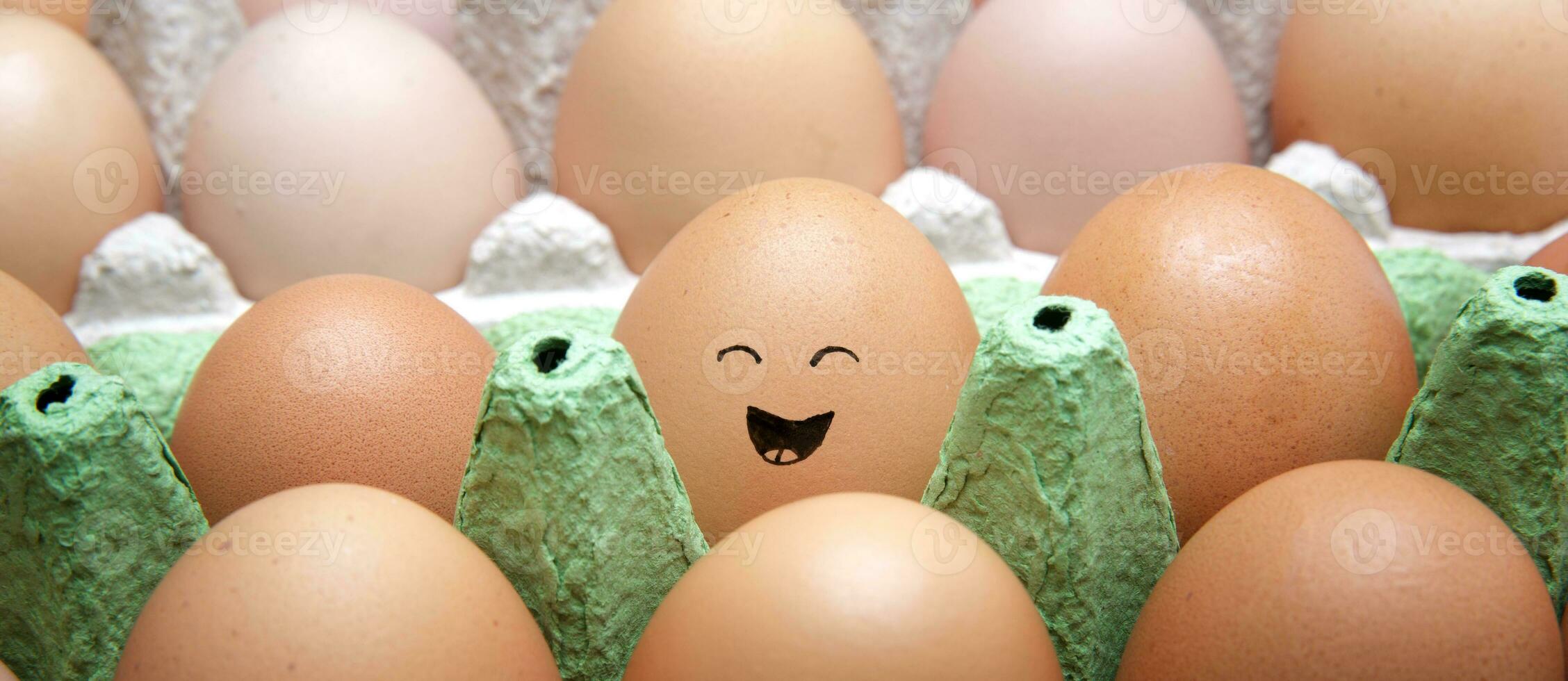 a laughing country brown egg lies in a cardboard box with other eggs.brown egg with happy face photo