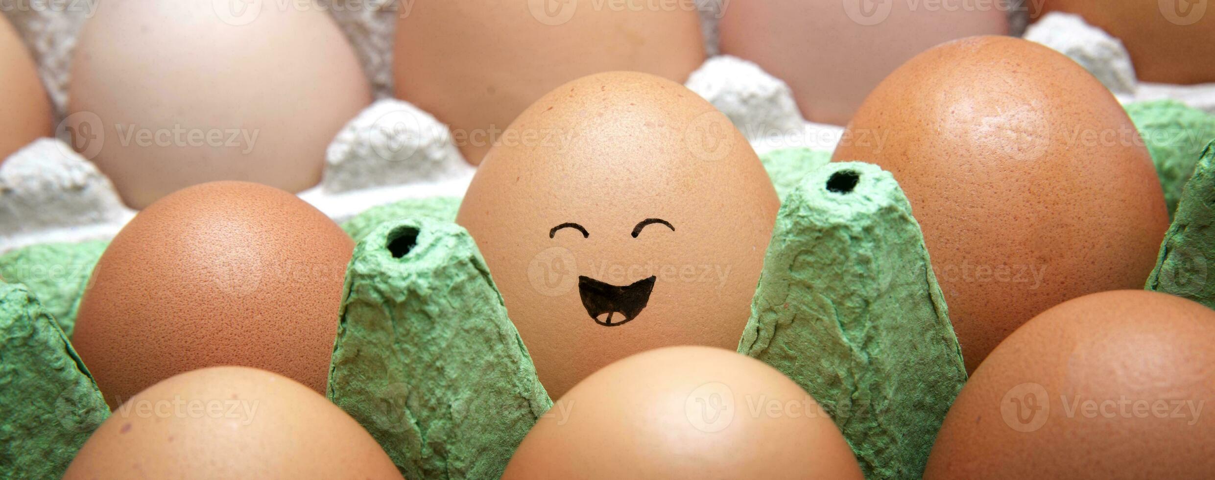 laughing village egg lies in a cardboard box with other eggs. Emotional chicken egg photo