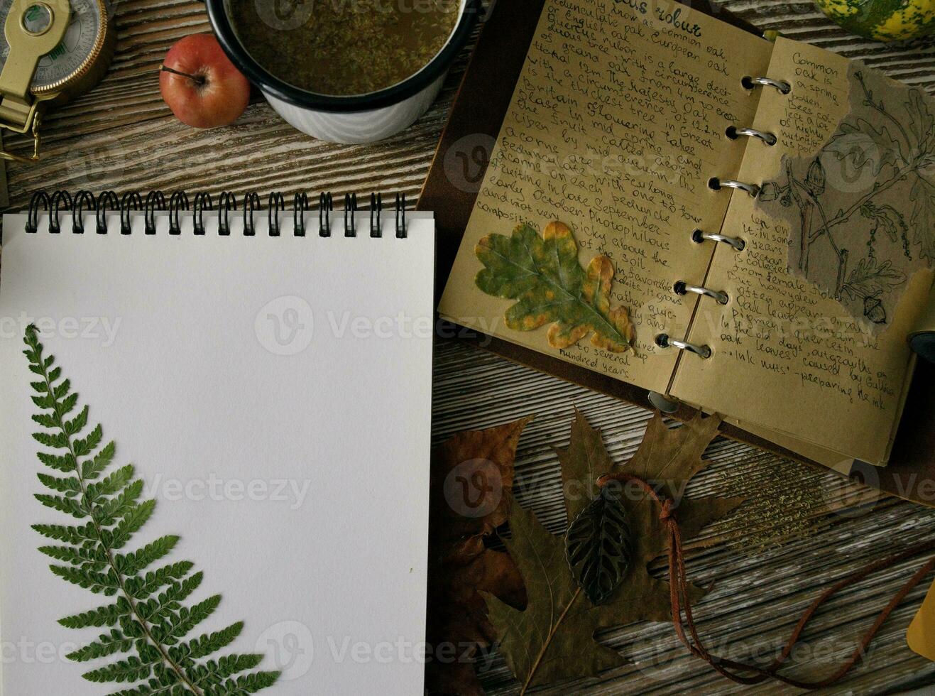 notebook with notes on herbs and mug with tea on wooden table and number of leaves.selective focus photo