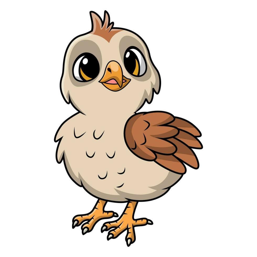 Cute quail bird cartoon on white background vector