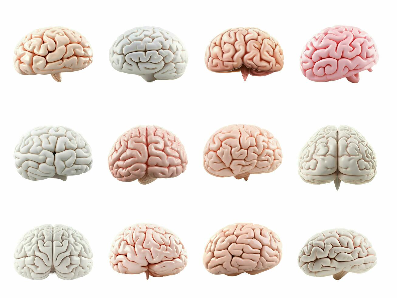 Brain collection isolated on white background with AI generated. photo