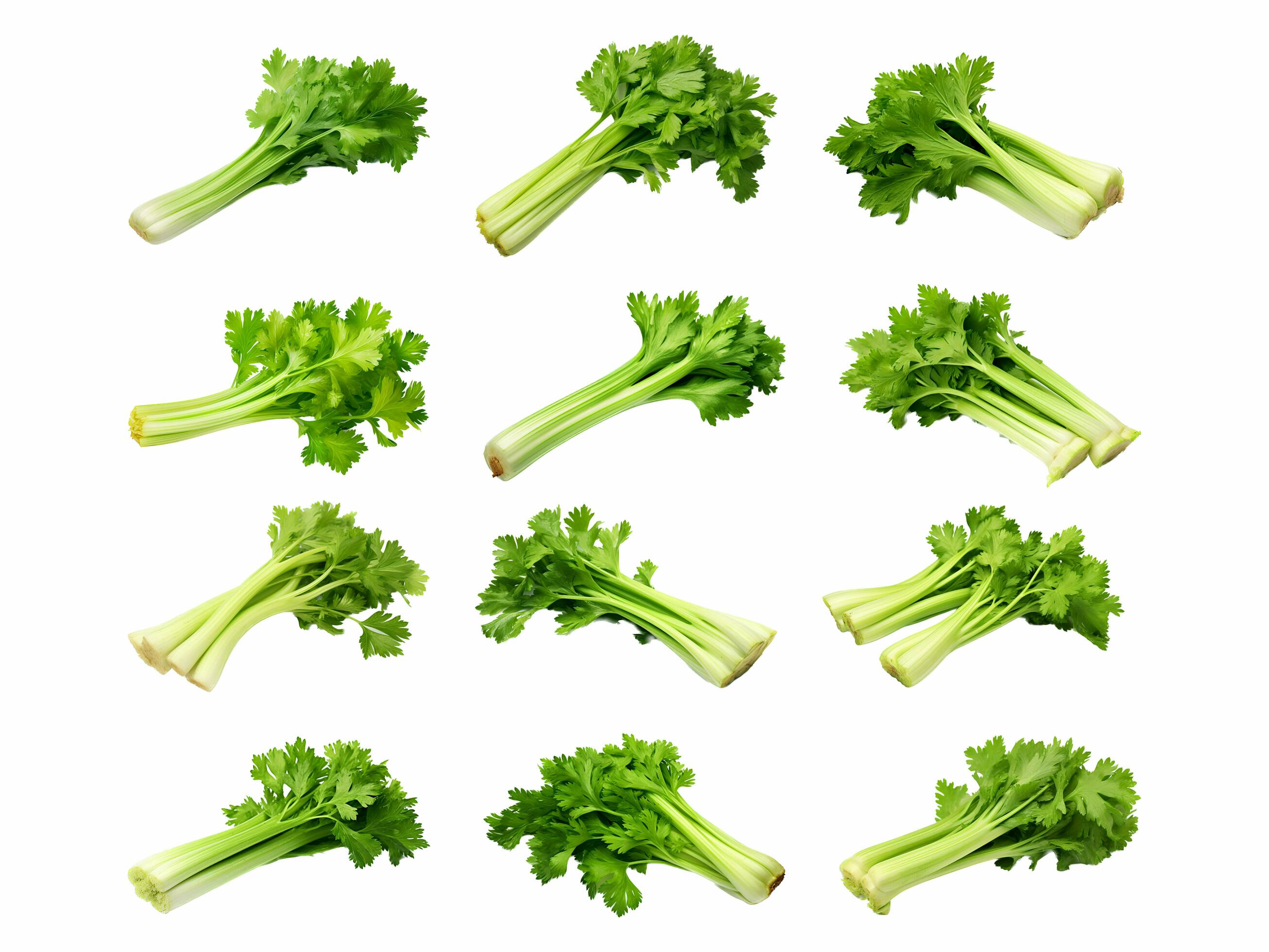 Celery collection isolated on white background with AI generated