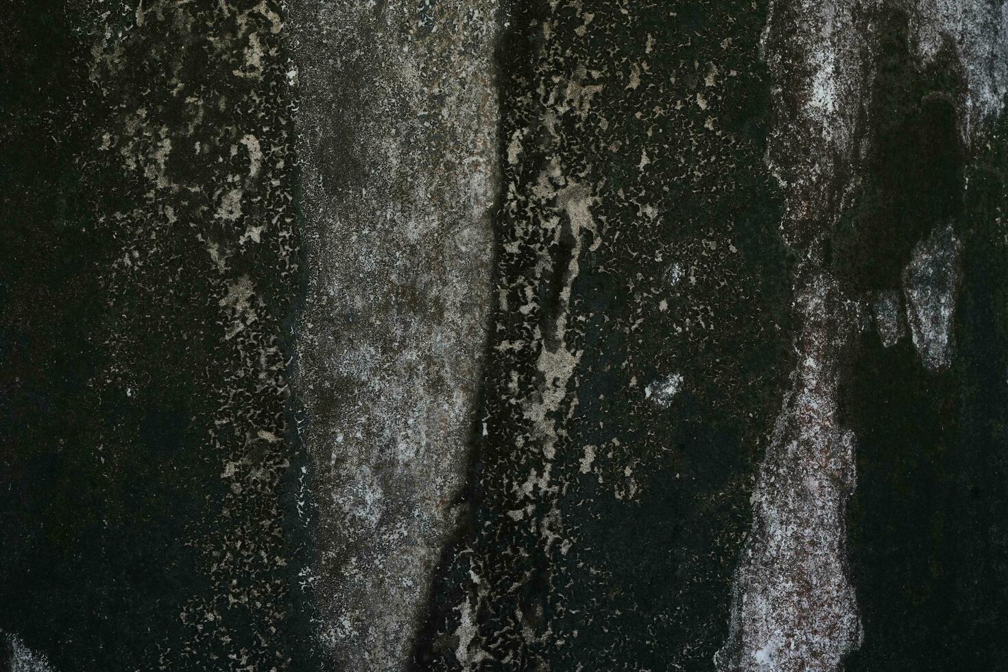 Vintage or grungy white background of natural cement or stone old texture as a retro pattern wall. photo