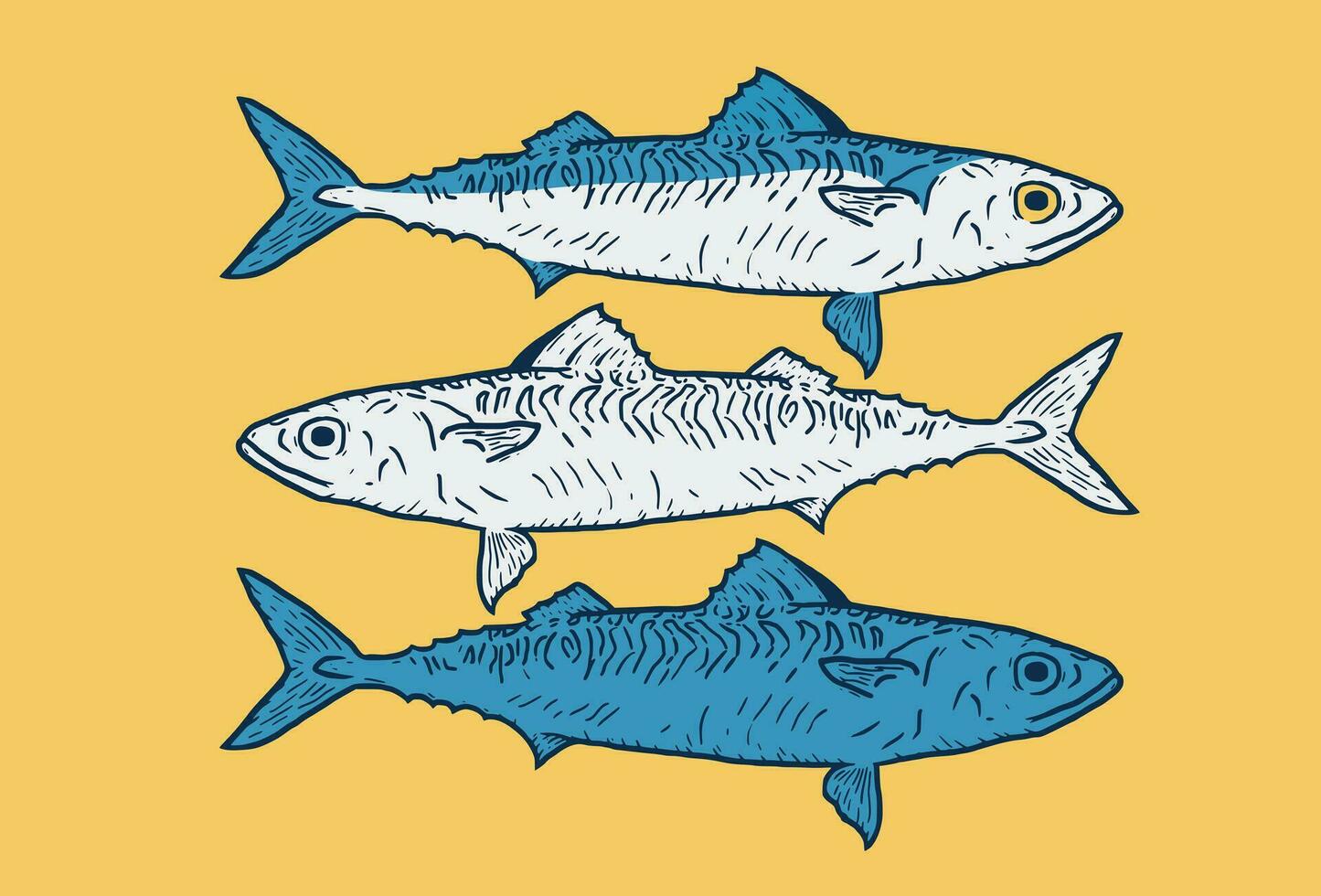 fish illustration vector engraved vintage style mackerel