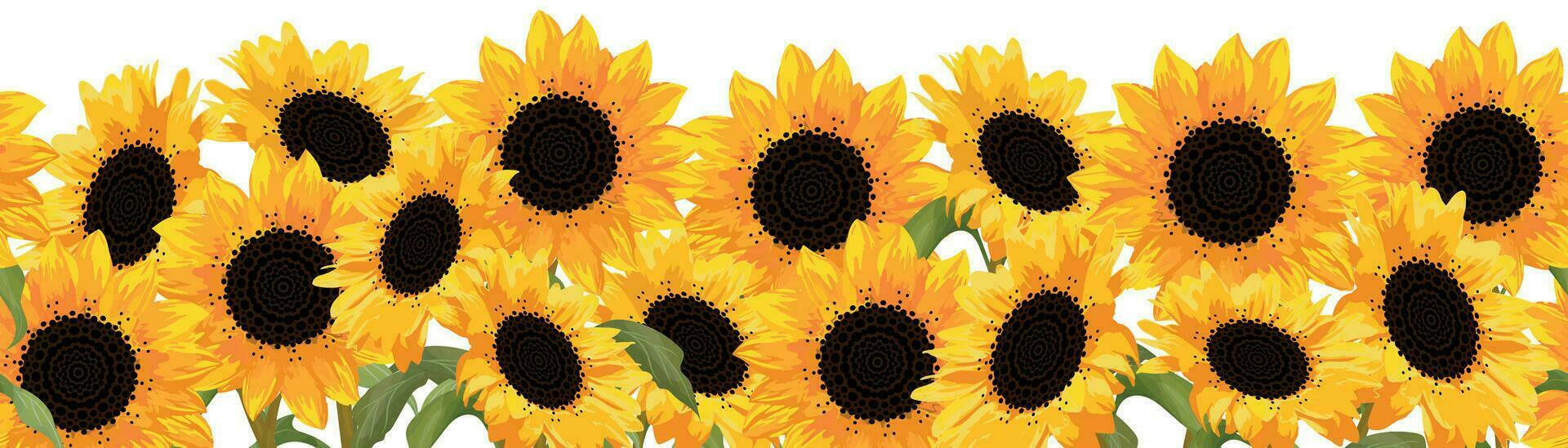 Seamless border with Sunflowers. Vector fall flowers isolated on white background. Floral frame for decorating cards, mugs, tshirts, etc for Harvest Day or Thanksgiving.