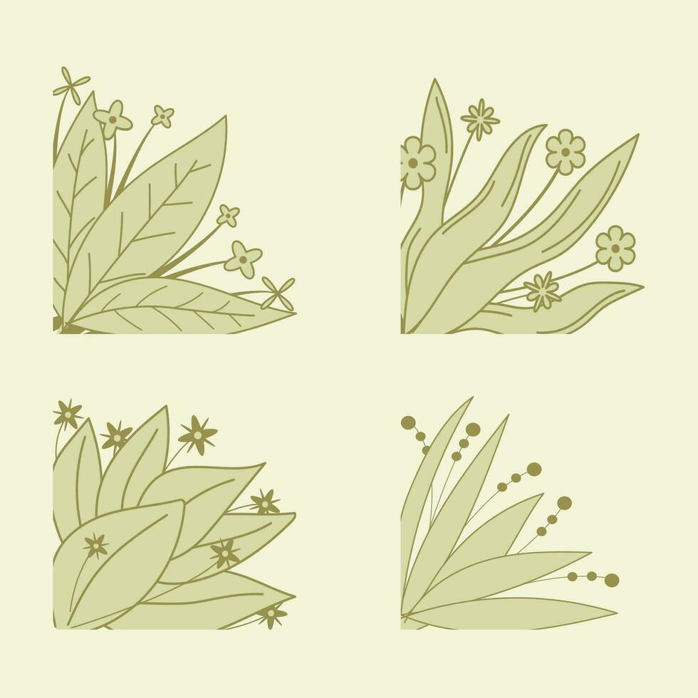 planta hojas ornamento marco colección vector