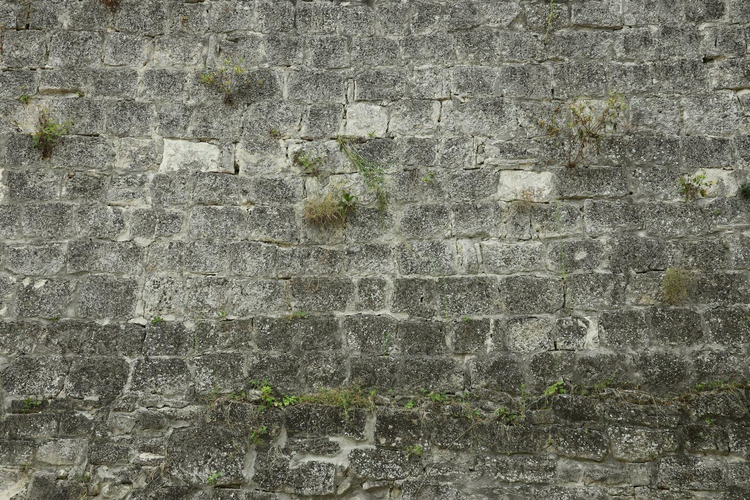Very old brick stone wall of castle or fortress of 18th century. Full frame wall with obsolete dirty and cracked bricks photo