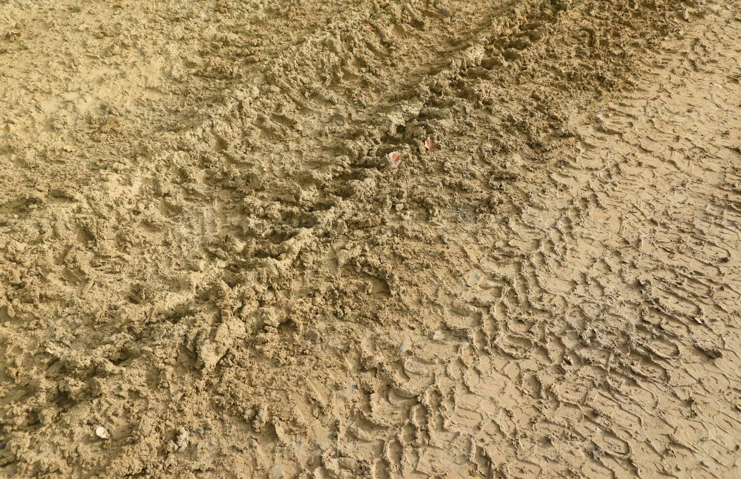 Wheel track on mud. Traces of a tractor or heavy off-road car on brown mud in wet meadow photo