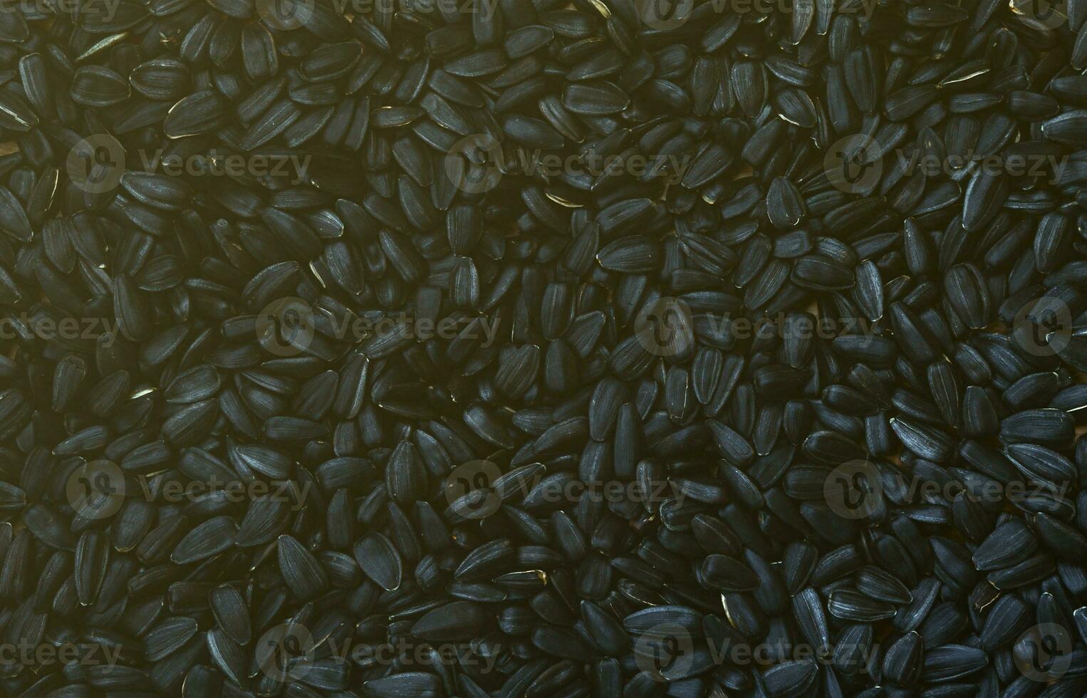 A pattern of many unprocessed fried sunflower seeds in a black shell. photo