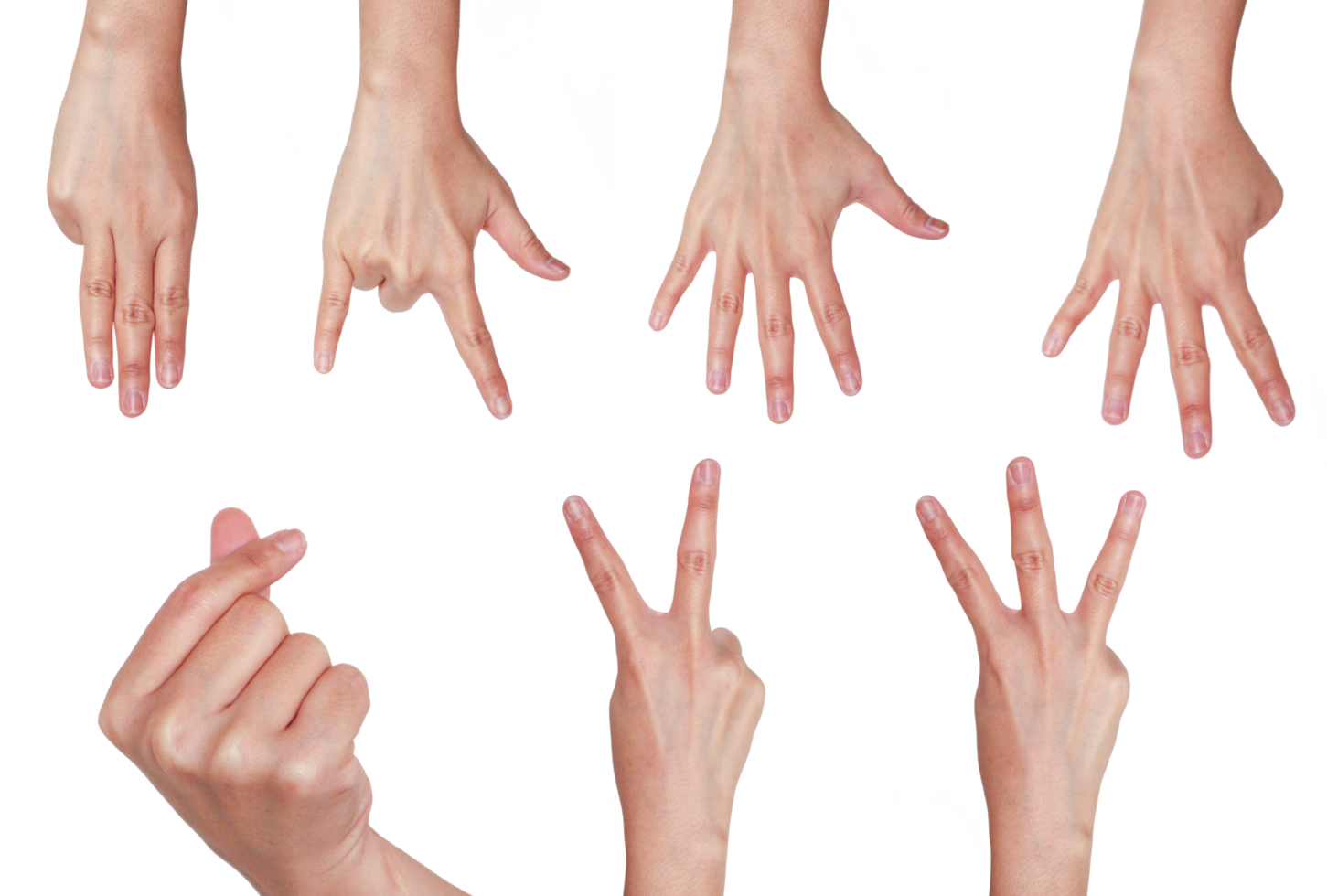 Set of female hand symbols png