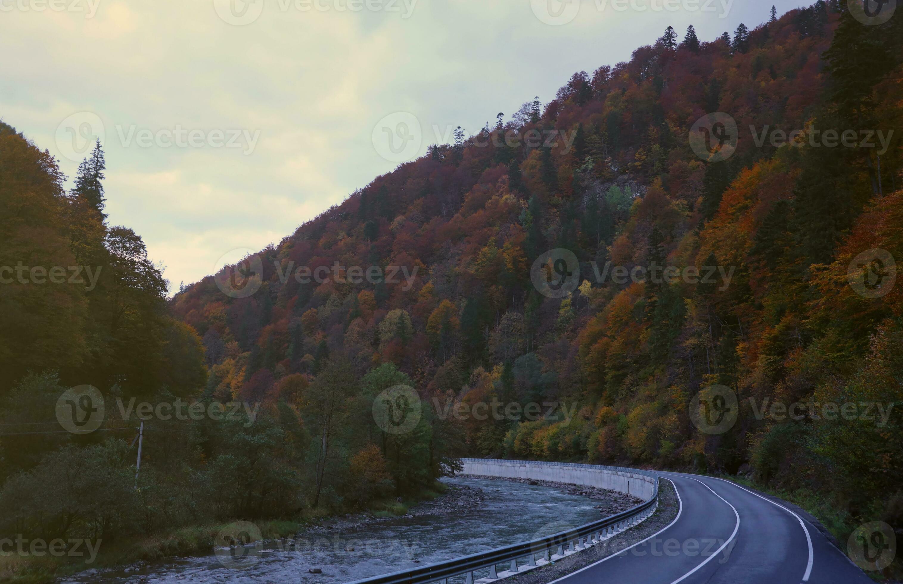 Image Tress Way image beautiful image beautiful image beautiful image beautiful image beautiful image beautiful - Road in autumn forest at sunset in Carpathian mountains, Ukraine ...