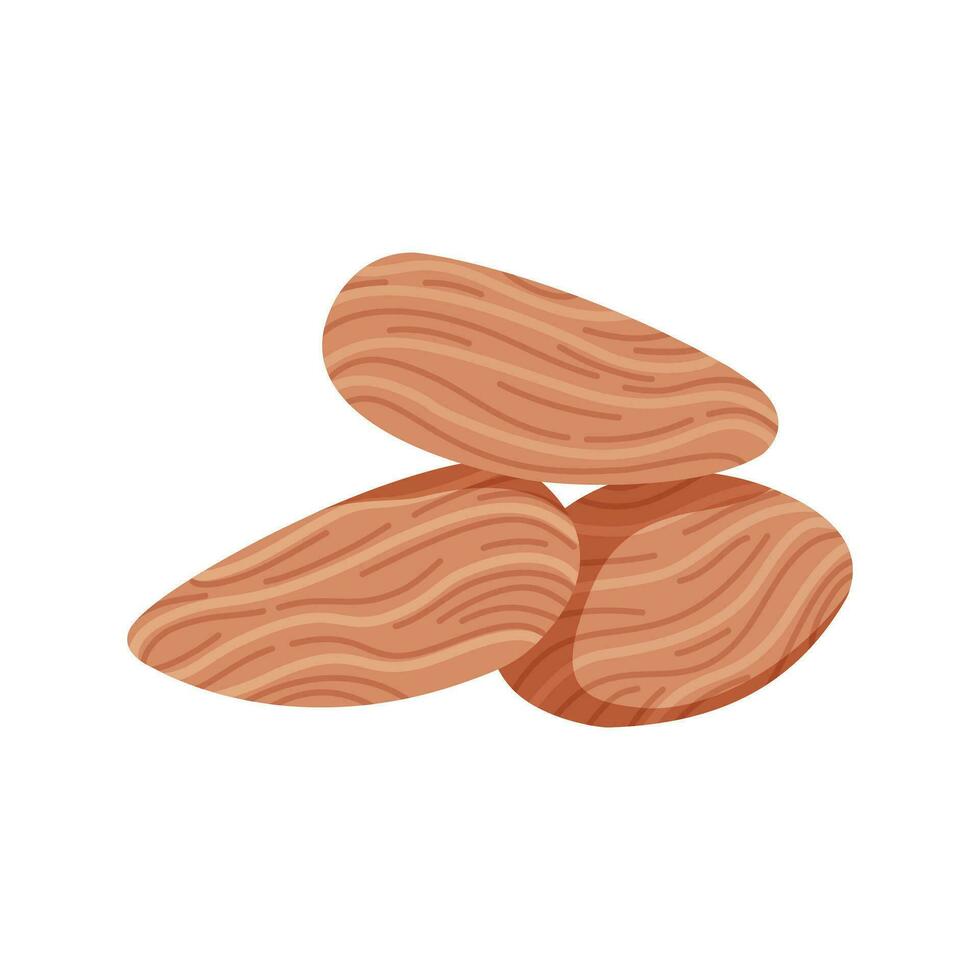 Almond isolated on white background. Simple drawing of nuts for baking. Vector flat illustration.