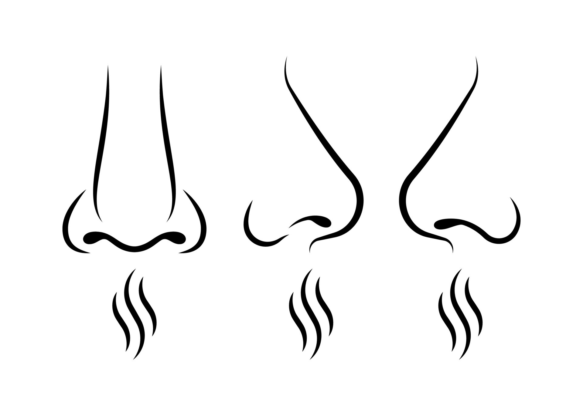 Smell symbol with nose icon vector illustration. Human smelling and