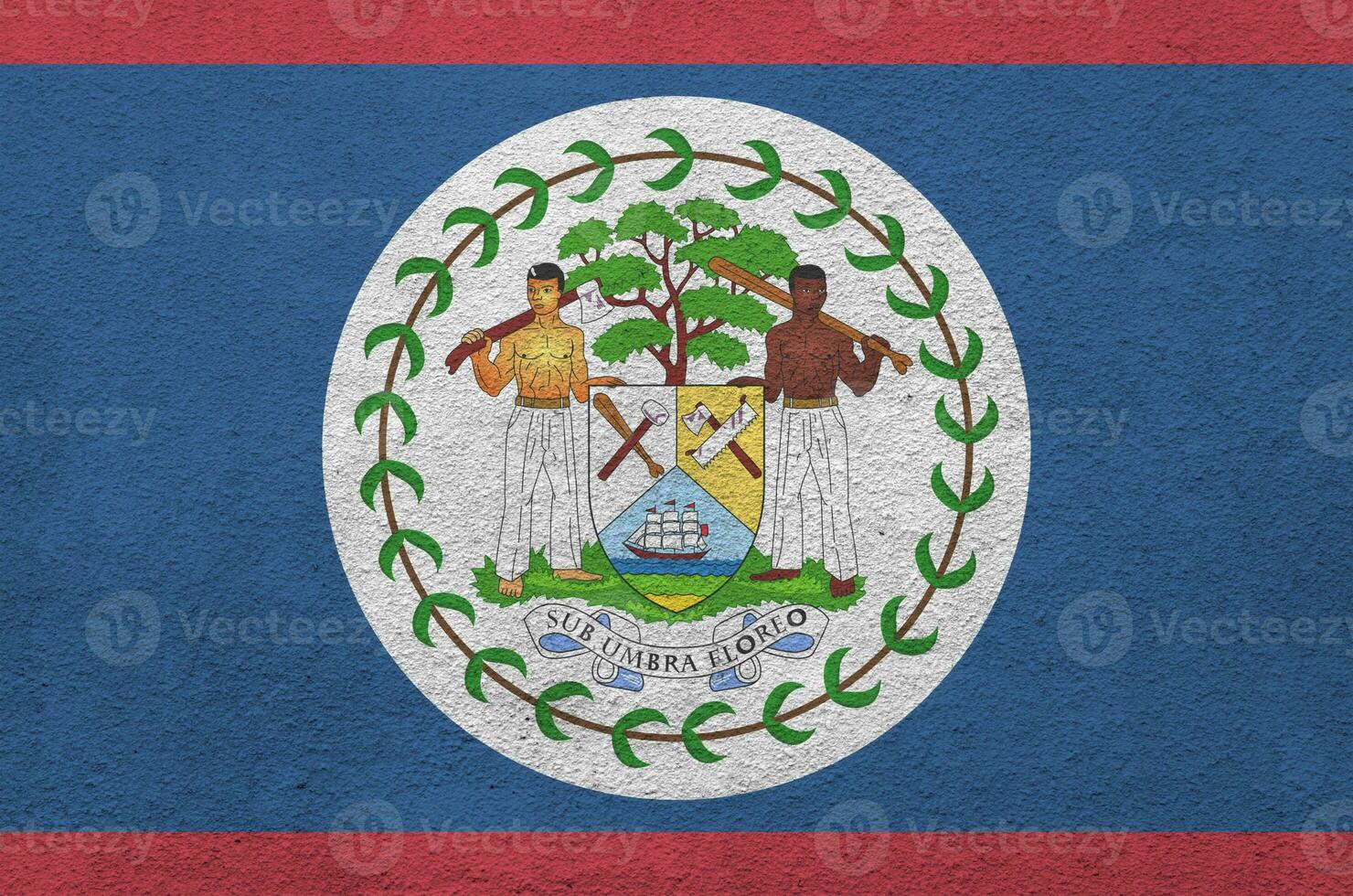 Belize flag depicted in bright paint colors on old relief plastering wall. Textured banner on rough background photo