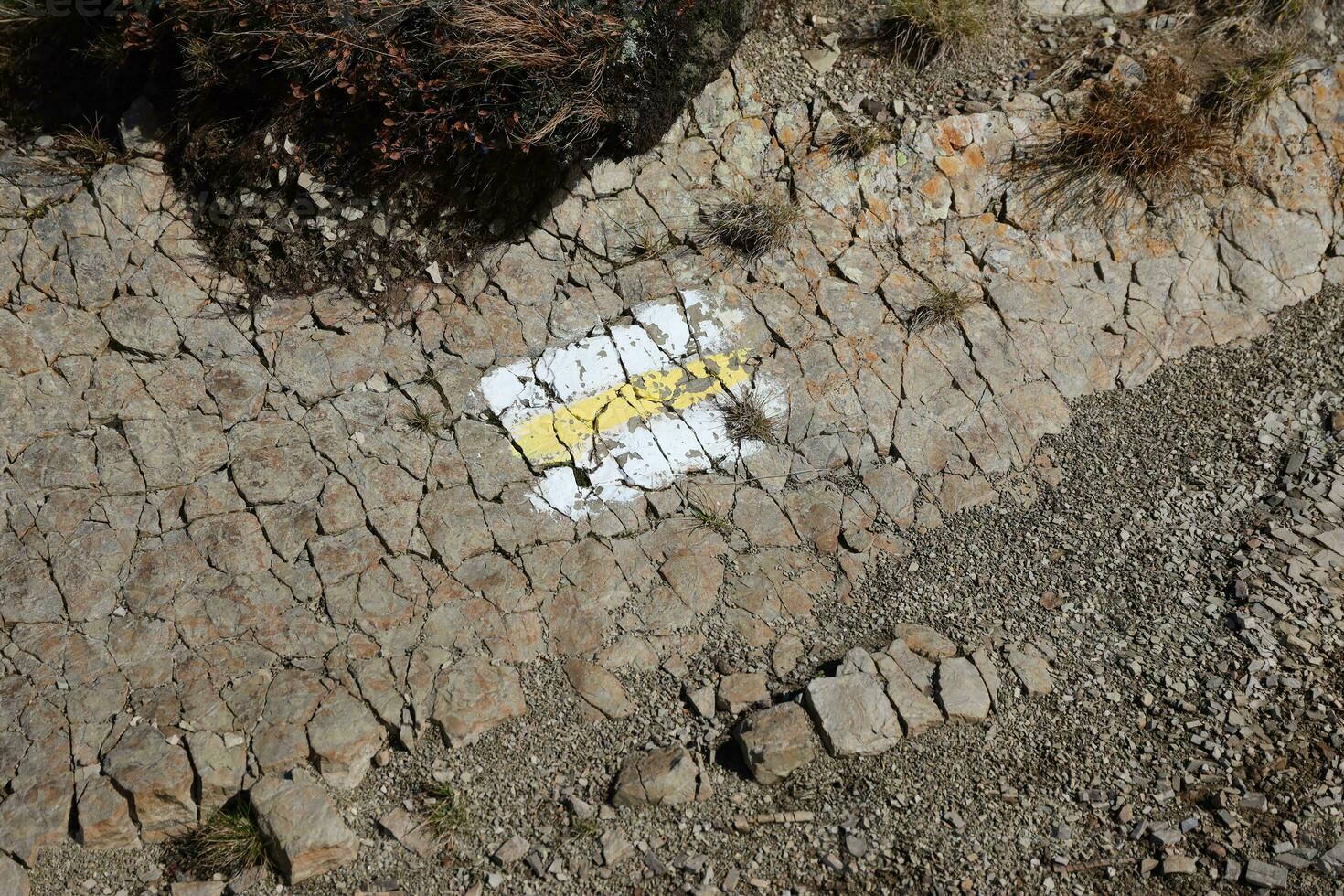 Walking trail background. Yellow and white forest path on brown tree trunk. Guide sign made with paint on hiking trail. Symbol points right way to go photo