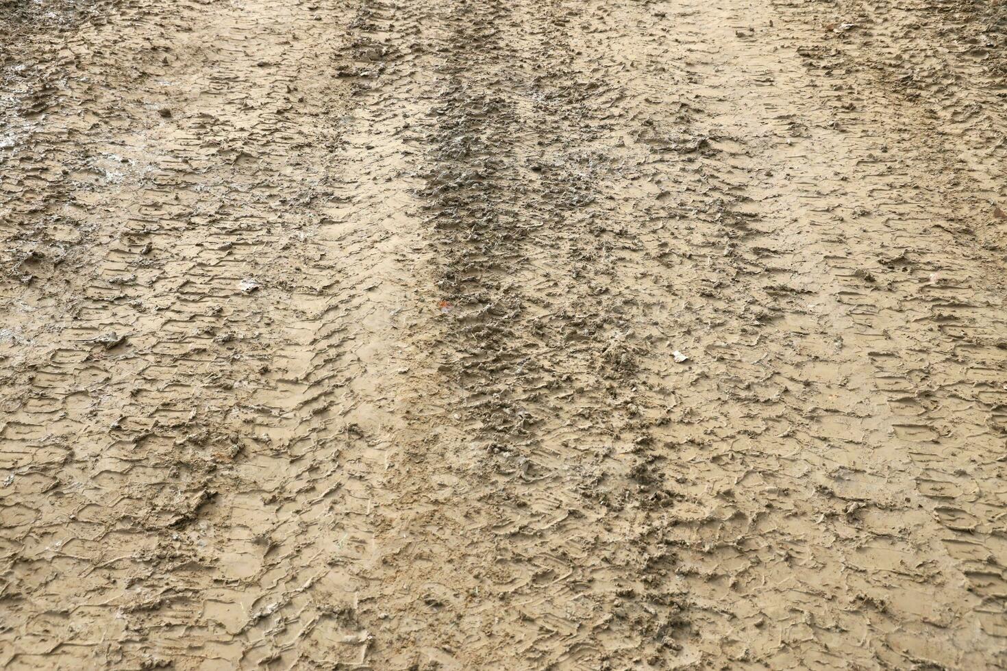 Wheel track on mud. Traces of a tractor or heavy off-road car on brown mud in wet meadow photo