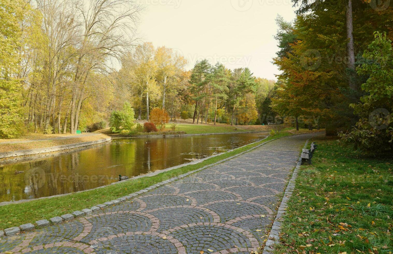 Beautiful Nature Autumn landscape with lake. Scenery view on autumn city park with golden yellow foliage in cloudy day photo