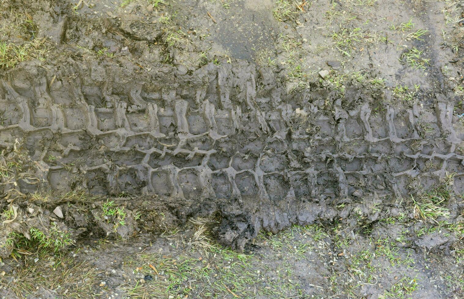 Wheel track on mud. Traces of a tractor or heavy off-road car on brown mud in wet meadow photo