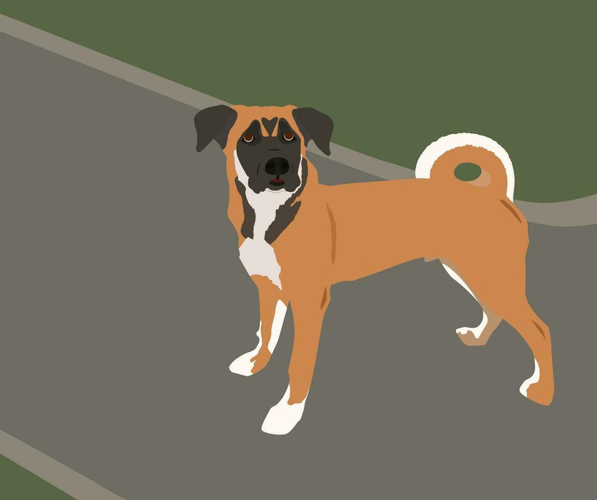 Flat Illustration of a Lovely Dog on the Walk. White, Grey, Orange, Beige vector