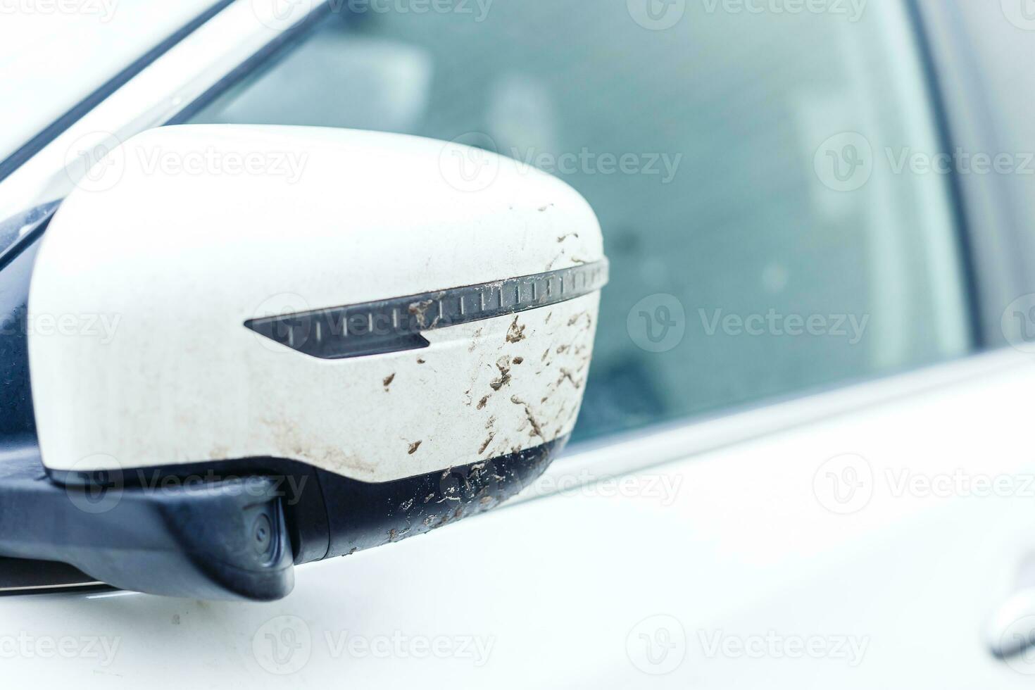 side rear-view mirror on a modern car photo