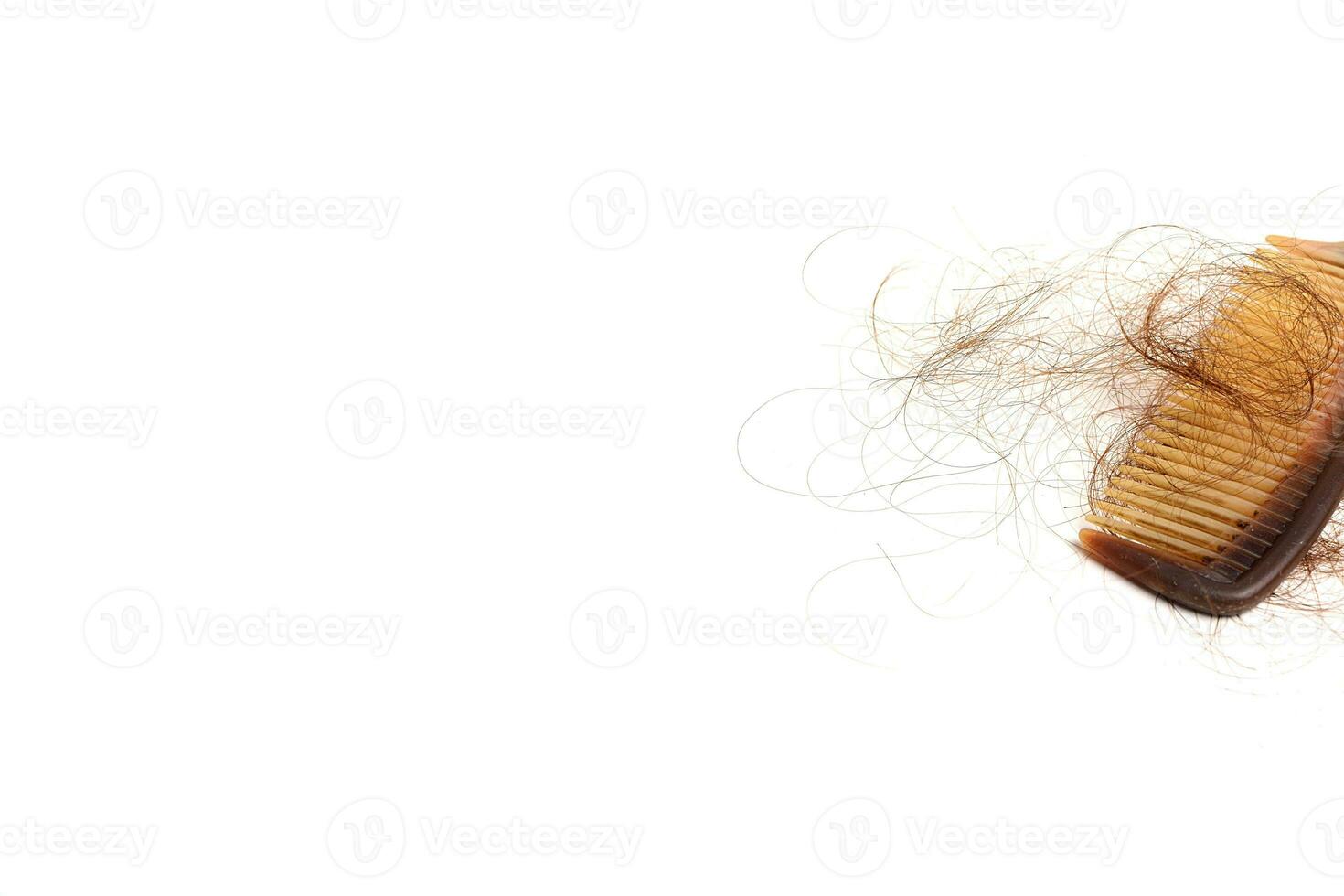 Hair loss in comb, hair fall everyday serious problem, on white background. photo