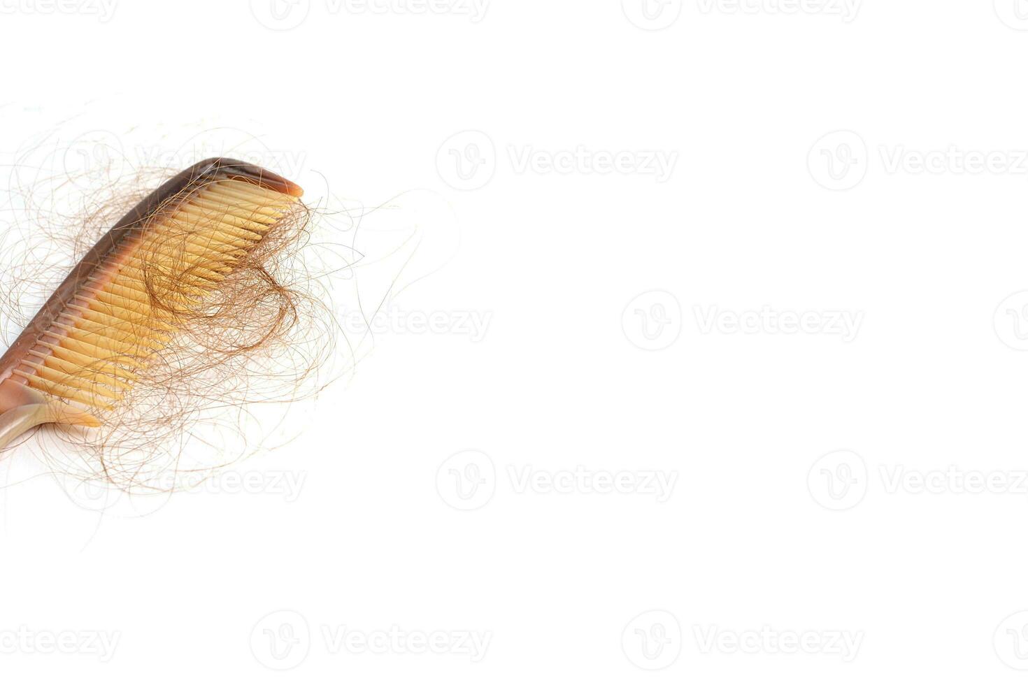 Hair loss in comb, hair fall everyday serious problem, on white background. photo