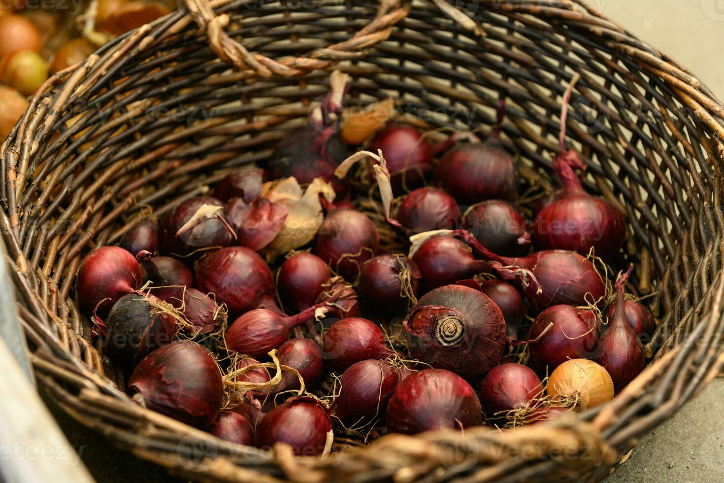 Old wicker basket with red and yellow onions photo