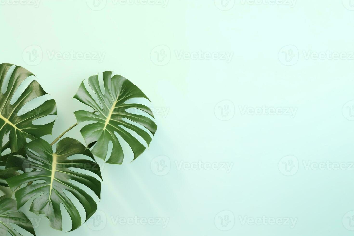 Green Foliage with copyspace, Lush Monstera Leaves on a Delicate Pastel Background. AI Generative photo