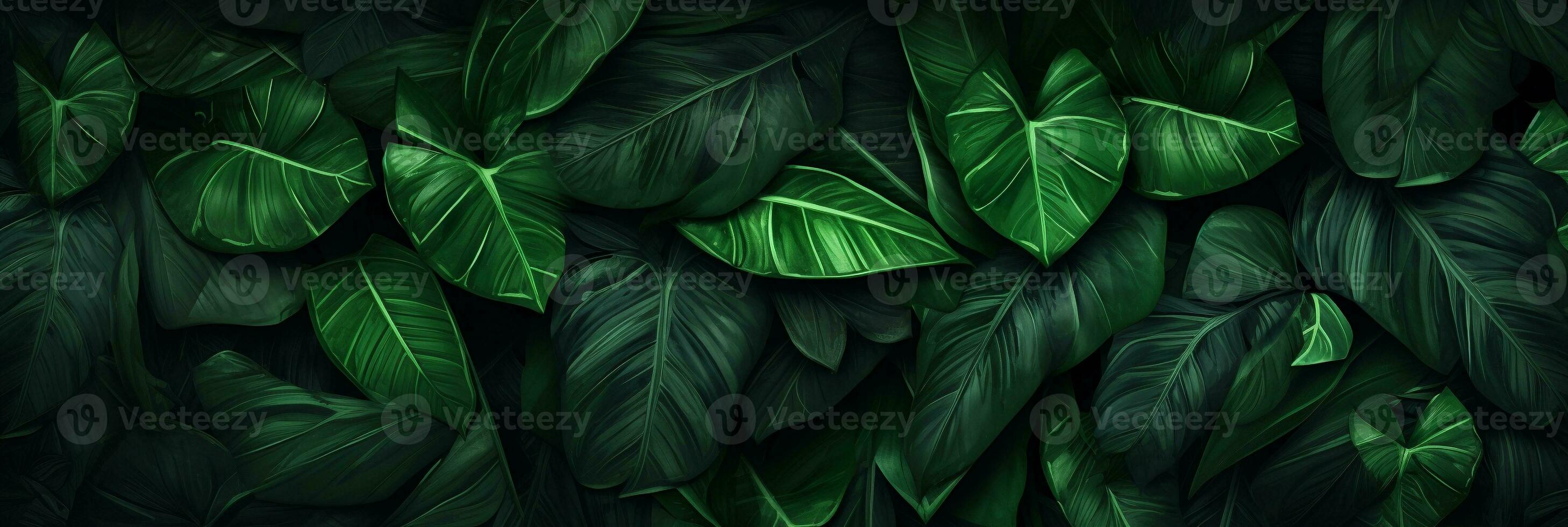 Lush green monstera leaves background, Tropical foliage in nature. AI Generative photo