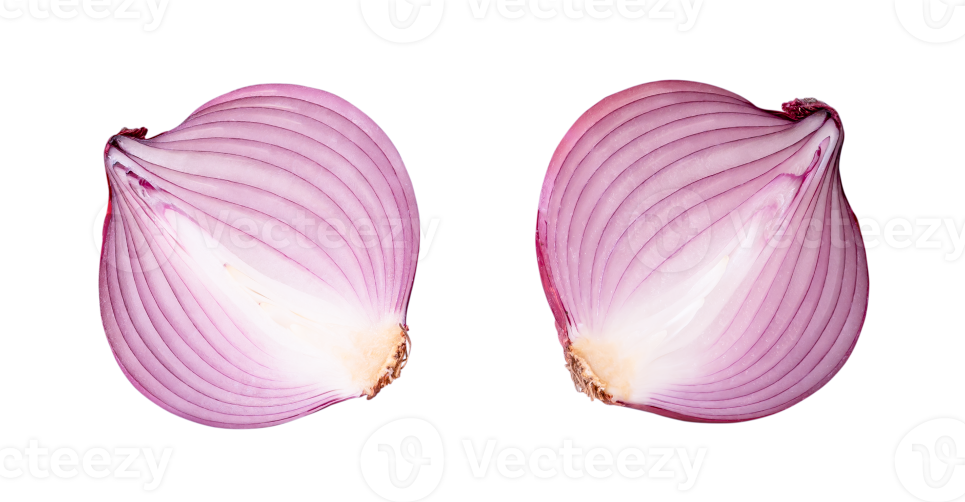 Top view of fresh red or purple onion halves in set isolated with clipping path in png file format.
