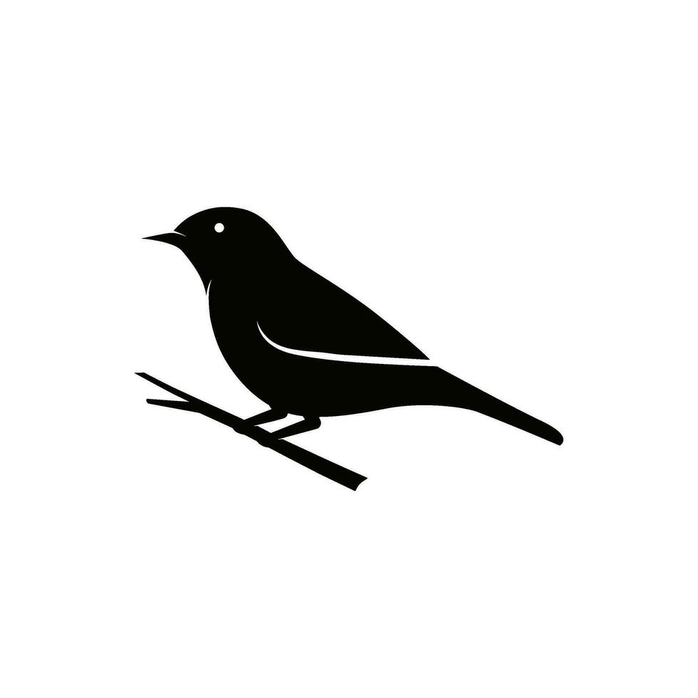 black bird logo on tree branch template vector